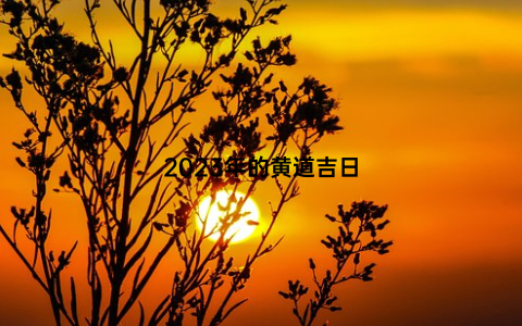 2023年的黄道吉日