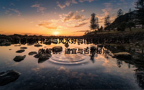 红枫能放北面吗风水好吗(红枫朝北摆放风水解析：适宜与否揭秘)