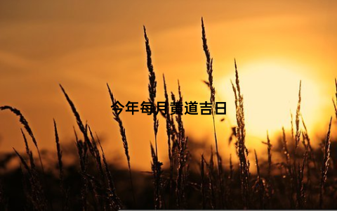 今年每月黄道吉日