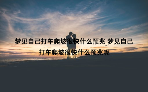 梦见自己打车爬坡很快什么预兆_梦见自己打车爬坡很快什么预兆呢