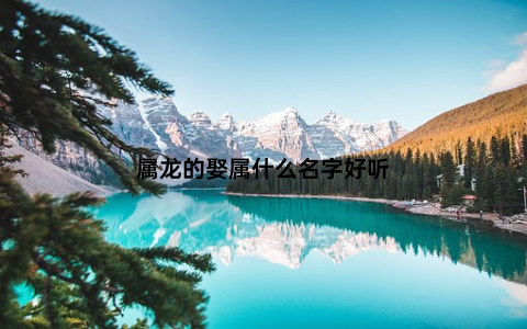 属龙的娶属什么名字好听