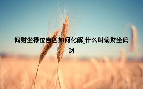 偏财坐禄位吉凶如何化解_什么叫偏财坐偏财