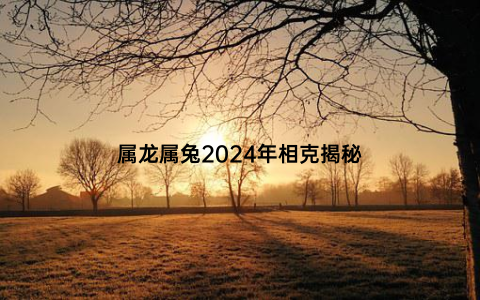 属龙属兔2024年相克揭秘