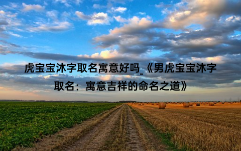 虎宝宝沐字取名寓意好吗_《男虎宝宝沐字取名：寓意吉祥的命名之道》