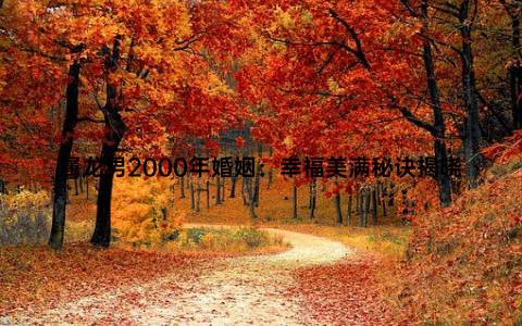 属龙男2000年婚姻：幸福美满秘诀揭晓