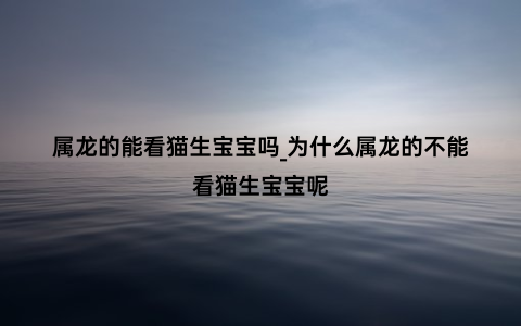 属龙的能看猫生宝宝吗_为什么属龙的不能看猫生宝宝呢