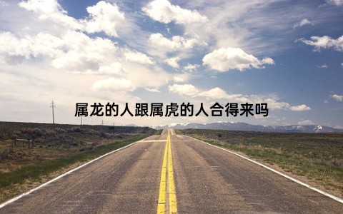 属龙的人跟属虎的人合得来吗