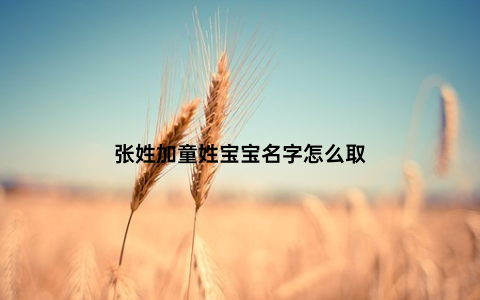 张姓加童姓宝宝名字怎么取