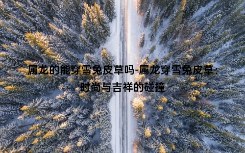 属龙的能穿雪兔皮草吗-属龙穿雪兔皮草：时尚与吉祥的碰撞