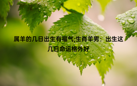 属羊的几日出生有福气;生肖羊男：出生这几日命运格外好