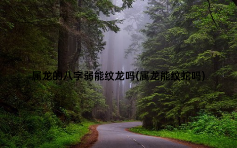 属龙的八字弱能纹龙吗(属龙能纹蛇吗)