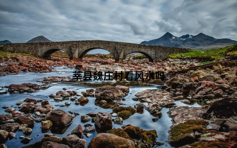 莘县魏庄村看风水吗