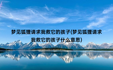 梦见狐狸请求我救它的孩子(梦见狐狸请求我救它的孩子什么意思)