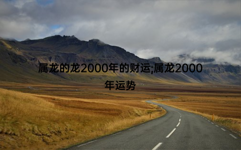 属龙的龙2000年的财运;属龙2000年运势