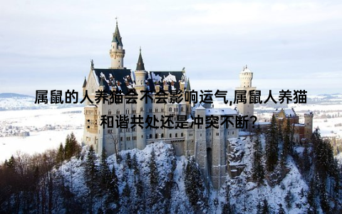 属鼠的人养猫会不会影响运气,属鼠人养猫：和谐共处还是冲突不断？