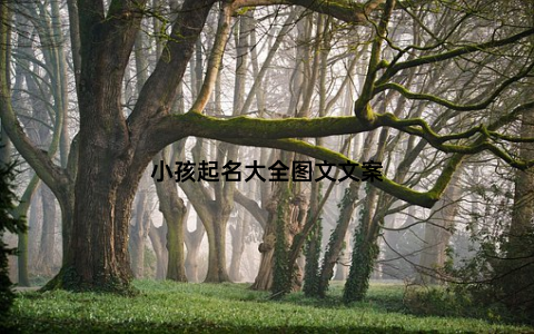 小孩起名大全图文文案