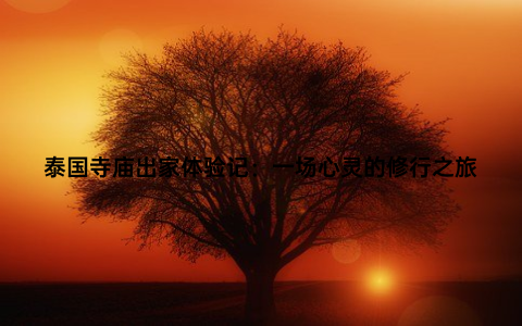 泰国寺庙出家体验记：一场心灵的修行之旅