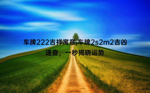 车牌222吉祥寓意,车牌2s2m2吉凶速查，一秒揭晓运势