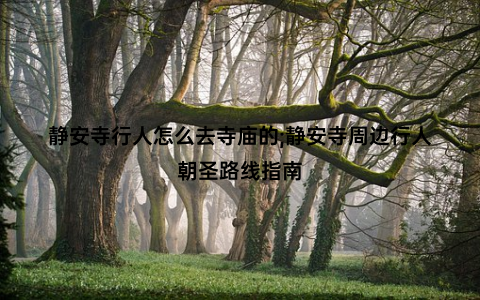 静安寺行人怎么去寺庙的;静安寺周边行人朝圣路线指南