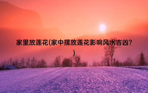 家里放莲花(家中摆放莲花影响风水吉凶？)