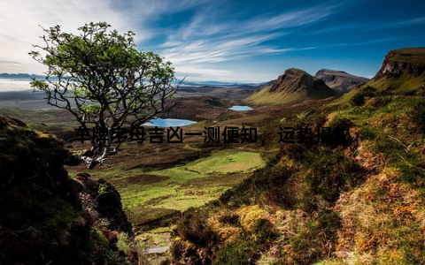 车牌字母吉凶一测便知，运势揭秘