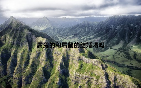 属兔的和属鼠的结婚喝吗