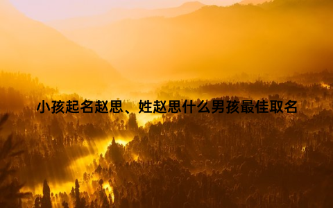 小孩起名赵思、姓赵思什么男孩最佳取名