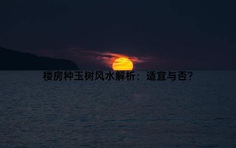 楼房种玉树风水解析：适宜与否？