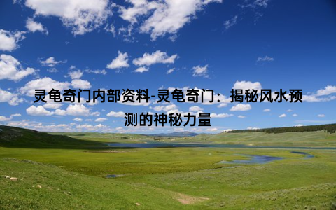 灵龟奇门内部资料-灵龟奇门：揭秘风水预测的神秘力量
