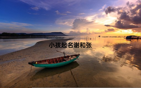 小孩起名谢和张
