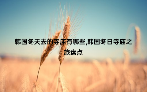 韩国冬天去的寺庙有哪些,韩国冬日寺庙之旅盘点