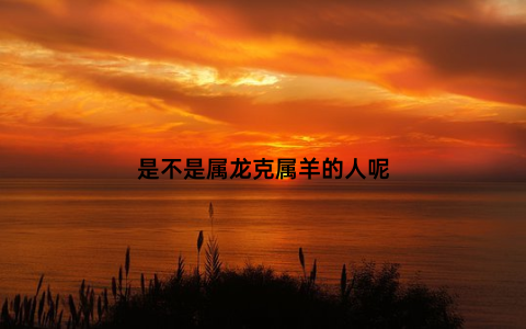 是不是属龙克属羊的人呢