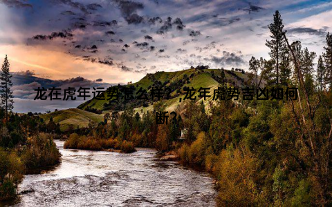 龙在虎年运势怎么样？;龙年虎势吉凶如何断？