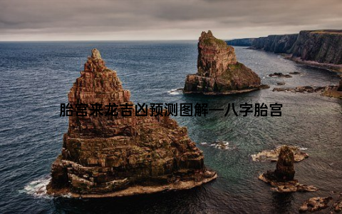 胎宫来龙吉凶预测图解—八字胎宫