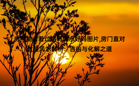 房门能对着过道吗风水好吗图片,房门直对过道风水解析：吉凶与化解之道