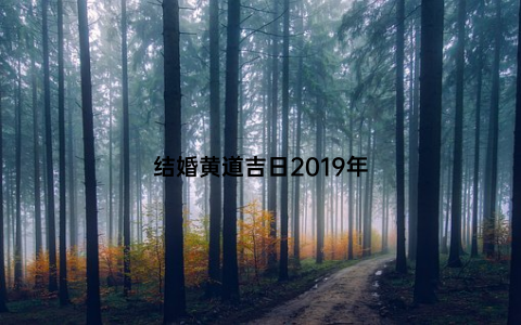 结婚黄道吉日2019年