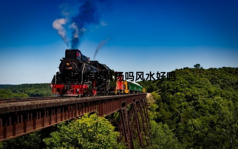 田园能栽黄杨吗风水好吗