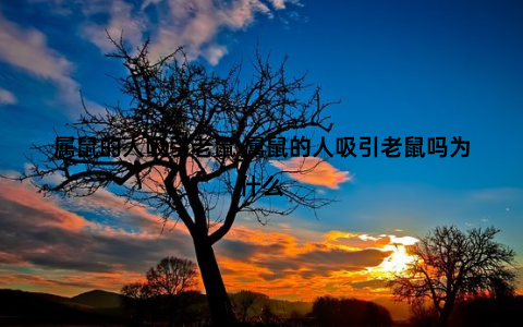属鼠的人吸引老鼠_属鼠的人吸引老鼠吗为什么