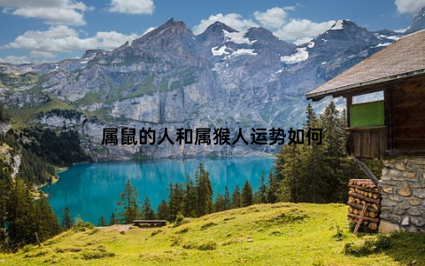 属鼠的人和属猴人运势如何