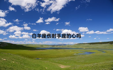 白羊座伤射手座的心吗