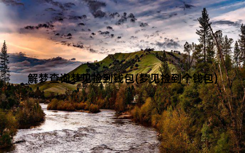 解梦查询梦见捡到钱包(梦见捡到个钱包)