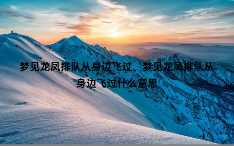 梦见龙凤排队从身边飞过、梦见龙凤排队从身边飞过什么意思