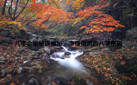 八字合婚秘诀揭秘：幸福婚姻的八字密码
