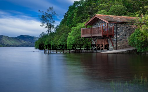 魔羯座女和双子座男配吗