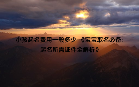 小孩起名费用一般多少-《宝宝取名必备：起名所需证件全解析》