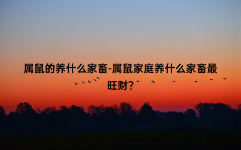属鼠的养什么家畜-属鼠家庭养什么家畜最旺财？