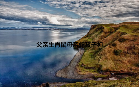 父亲生肖鼠母亲蛇孩子狗