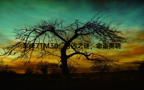 车牌7TM30：吉凶之谜，命运揭晓