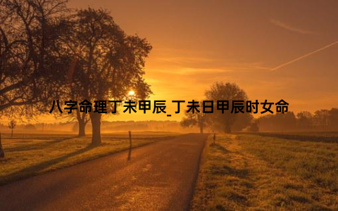 八字命理丁未甲辰_丁未日甲辰时女命