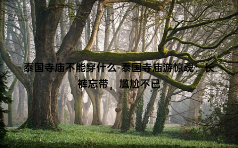 泰国寺庙不能穿什么-泰国寺庙游惊魂：长裤忘带，尴尬不已